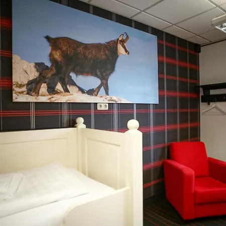 Appartement Zentrum Und Budget Bester Preis, Wahl